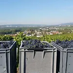 فندق مبيت وإفطار Terres Jaunes Avenay-Val-d'Or